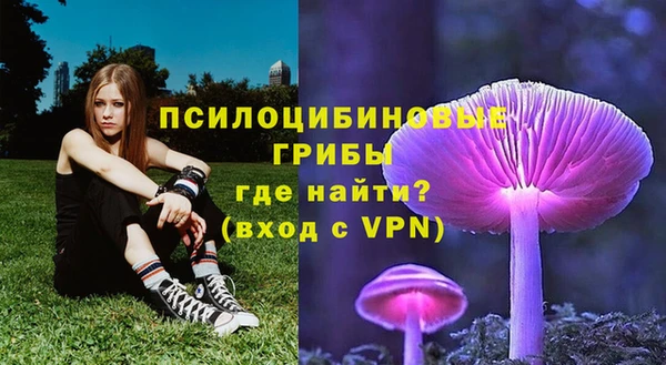 дживик Абаза