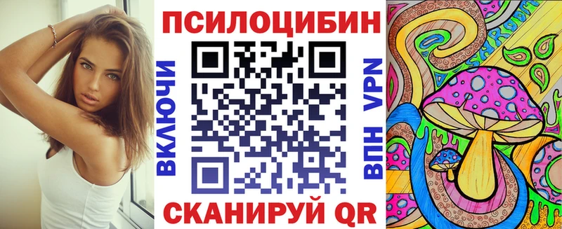 блэк спрут онион Людиново Псилоцибиновые грибы Psilocybine cubensis
